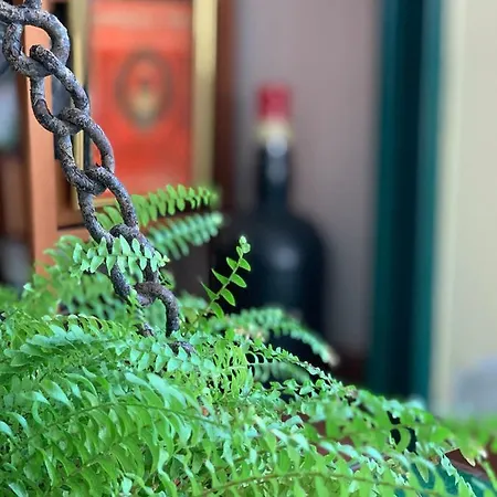 Le Residenze Dei Serravallo Trieste