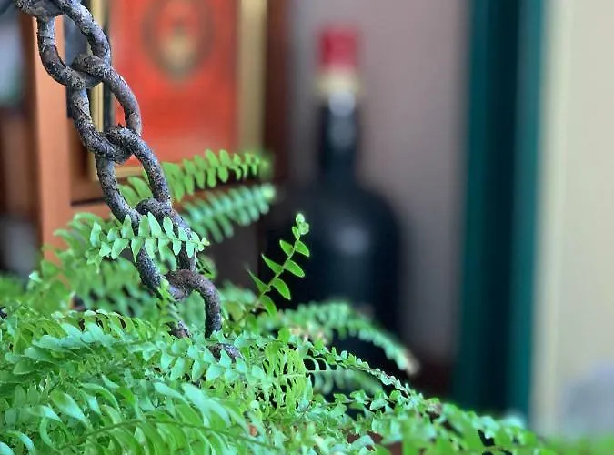 Le Residenze Dei Serravallo Trieszt